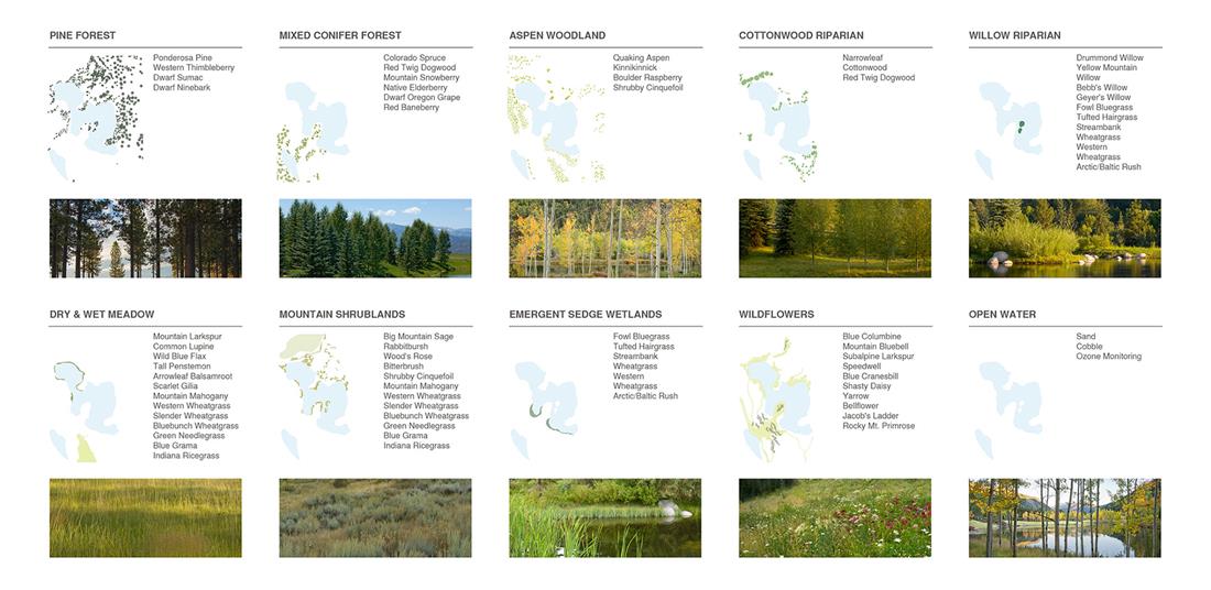 2016 asla  MontaneLandscape_11