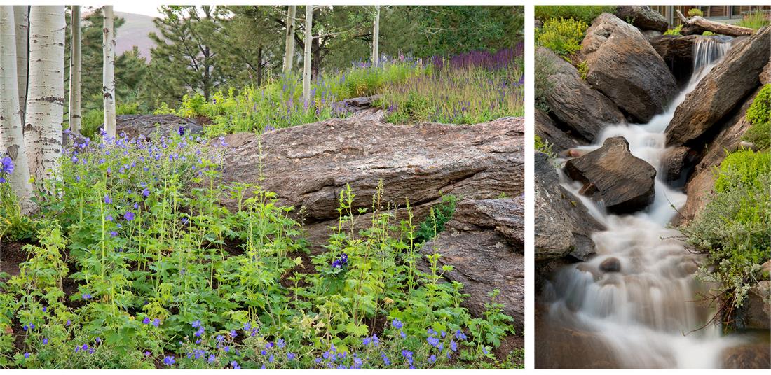 2016 asla  MontaneLandscape_13