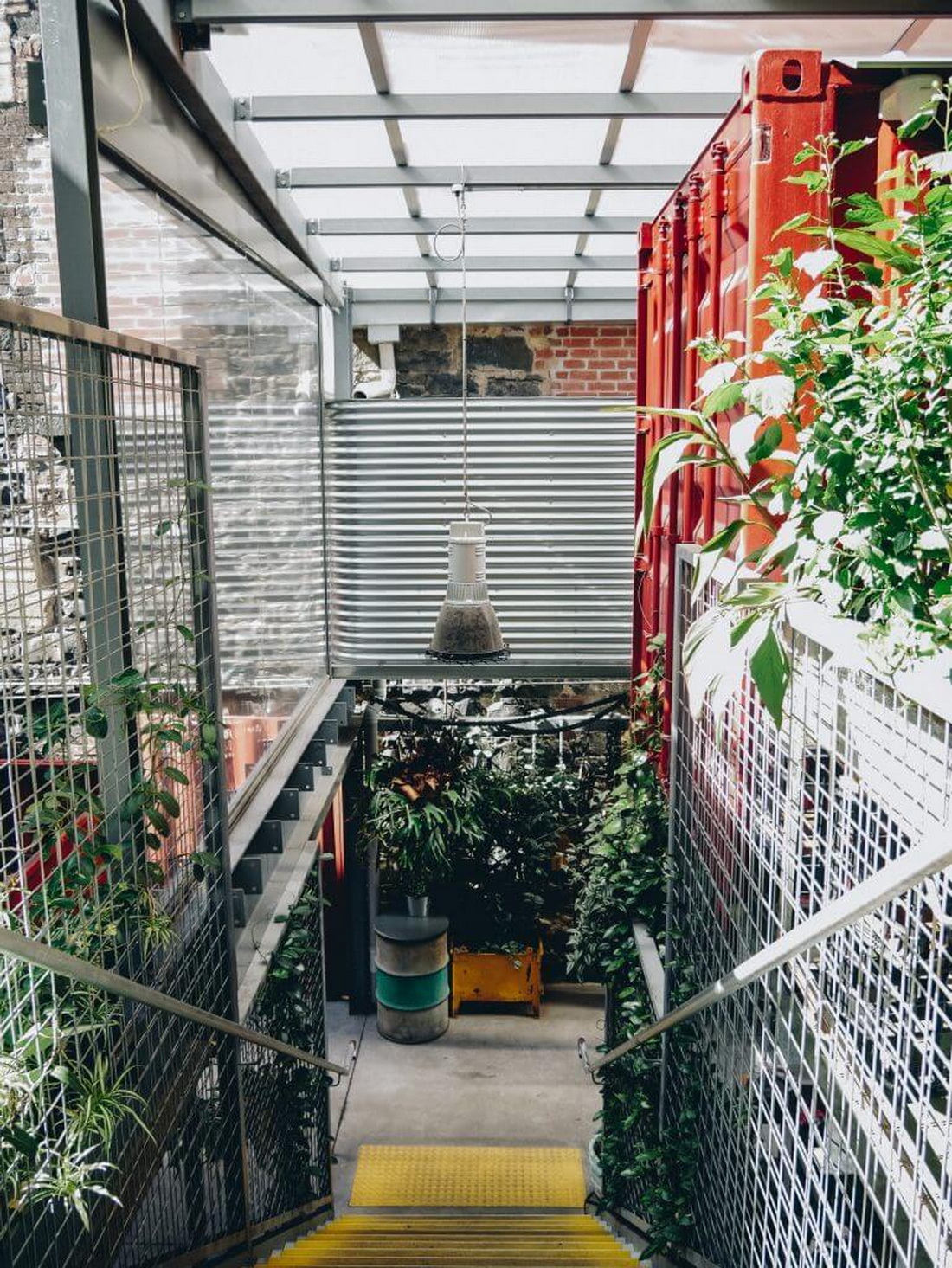 集装箱酒